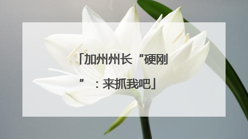 加州州长“硬刚”：来抓我吧